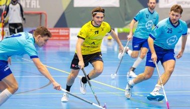 Rheintal Gators starten mit einem Cup-Heimspiel in die Saison