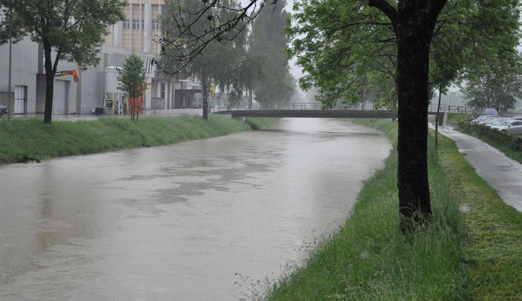 Binnenkanal Widnau, Blick  in Richtung Au