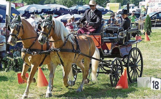 Fahrsporttage mit Kutsche, Charme und Melone
