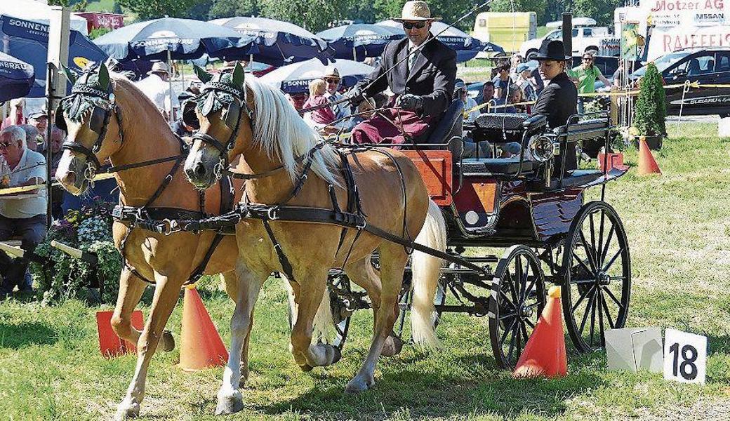 Urs Bicker mit Apollo XXVIII und Promilla du bann.