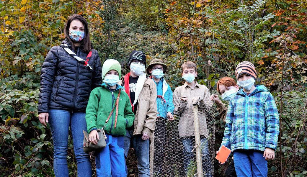 Die Pfadi Mittelrheintal pflanzte sechs Bäume oberhalb des Pfadiheims in Heerbrugg. 