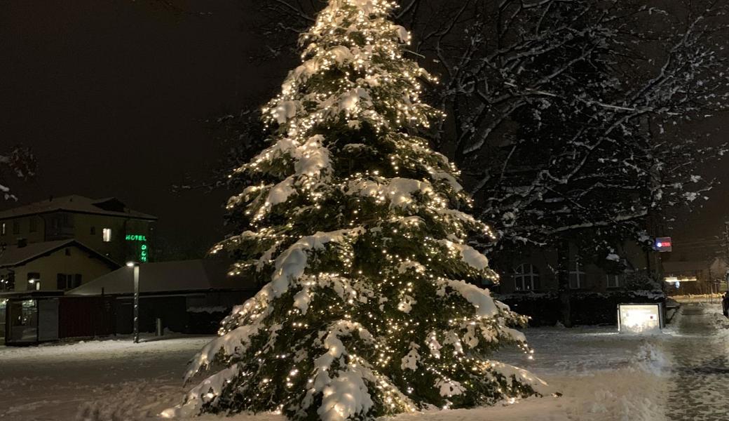 Weihnachtsbaum im Pärkli St.Margrethen.