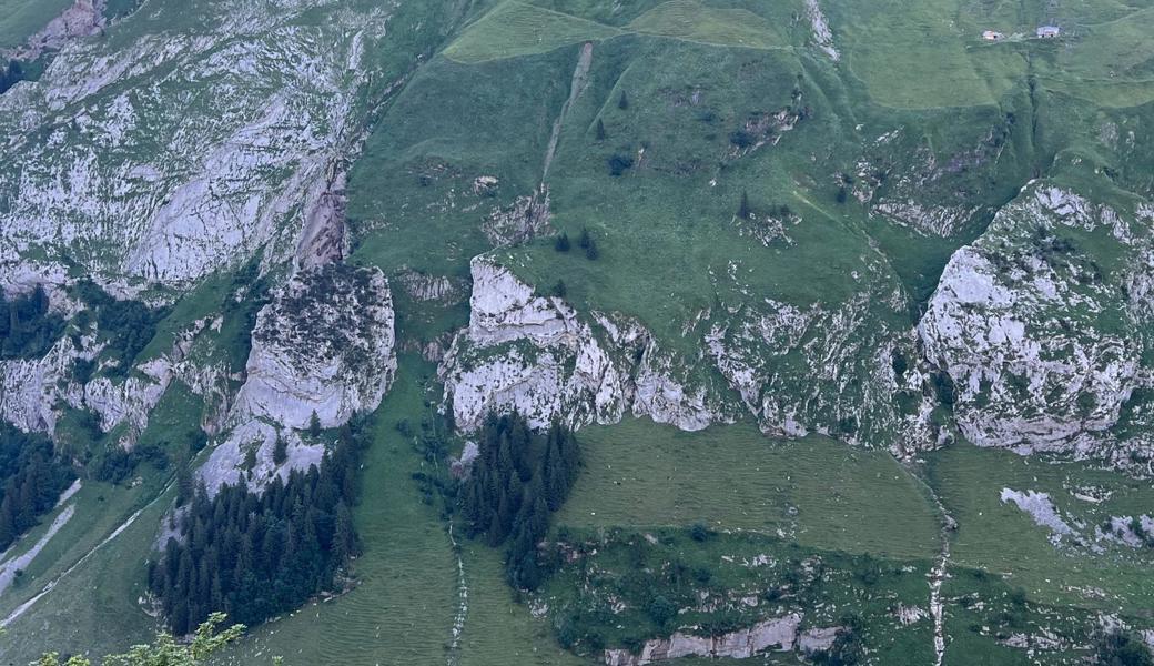 Das Gelände oberhalb des Seealpsees.