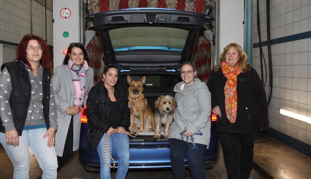 In der Waschanlage (von links): Michèle Lüber (Tierheim St. Margrethen), Nicole Rohner (Präsidentin Tierschutzverein Rheintal), Nicole Graf und Martina Kellenberger (beide Garage Hch. Eggenberger) und Antonella Kretz (Leiterin Katzenstation Montlingen).