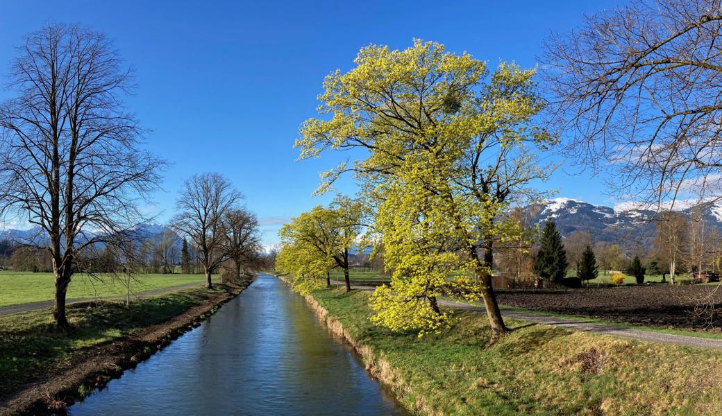 Der Rheintaler Binnenkanal in Montlingen.