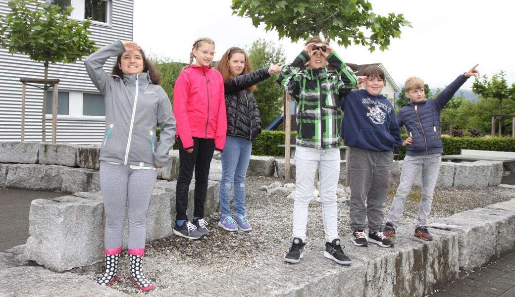 Sie haben in Widnau fleissig Wildvögel gezählt (von links): Selda Akbaba, Theresa Wolfers, Luna Meier, Jayson Kobler, Raphael Frei und Elias Sieber.