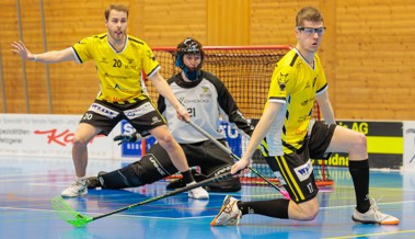 Rheintal Gators schliessen die Regular Season auswärts ab