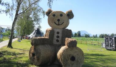 Rein in das Mais-Labyrinth - das RhyLa im Balger Riet ist eröffnet