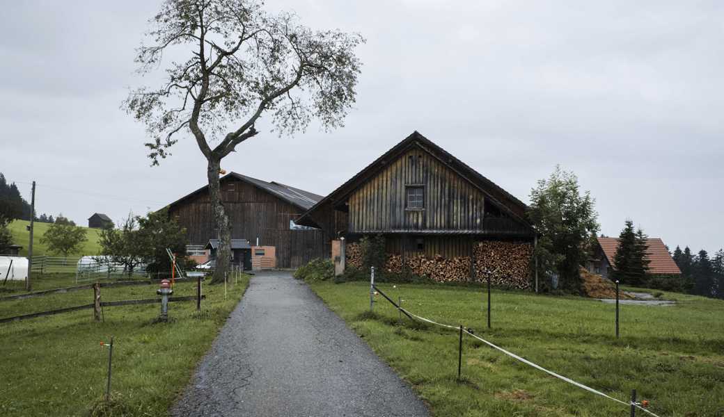 Bauernpräsident Nüesch warnt vor überstürzten Reglementierungen: «Die Bauern tragen keine Schuld»