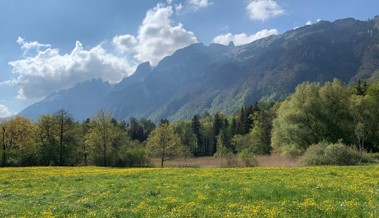 Im Herbst ist Baustart: Pro Natura wertet Egelsee auf