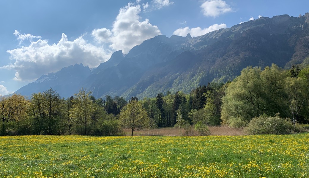 Im Herbst ist Baustart: Pro Natura wertet Egelsee auf
