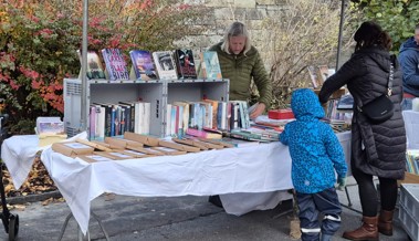 Bibliothek trotzte dem Regen am Jahrmarkt