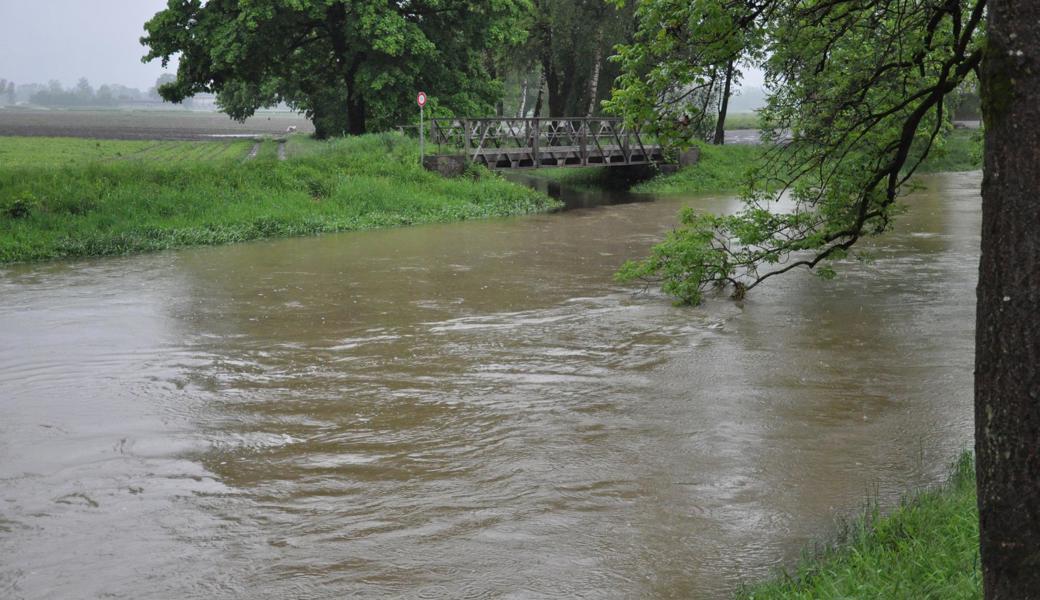 Binnenkanal im Balger Riet