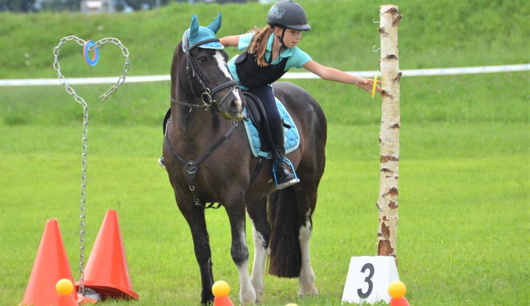 Auch dieses Jahr messen sich wieder über 50 Reiterinnen und Reiter im Gymkhana des Pferdezuchtvereins Rheintal.