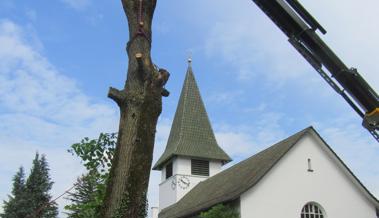 Linde bei der Eichenwieser Kirche gefällt