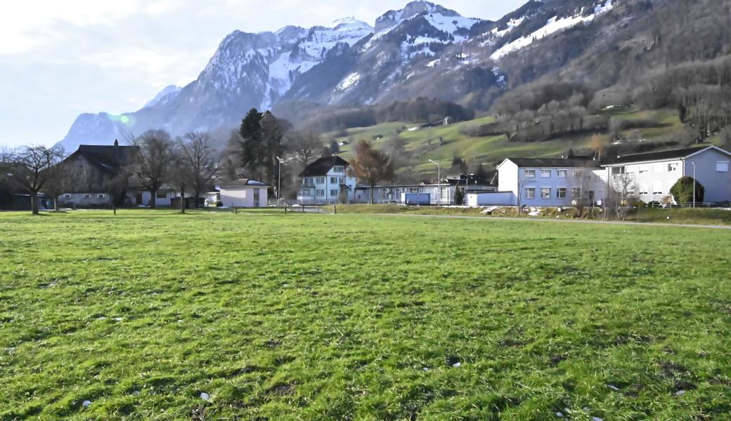 Auf dieser Wiese am Binnenkanal (vis à vis den Gebäuden der Furrer Vorhänge, rechts der Bildmitte) sieht die Arbeitsgruppe Schulraumplanung am ehesten ein neues Schulhaus für Rüthis Kindergärtler und Erst- und Zweitklässler.