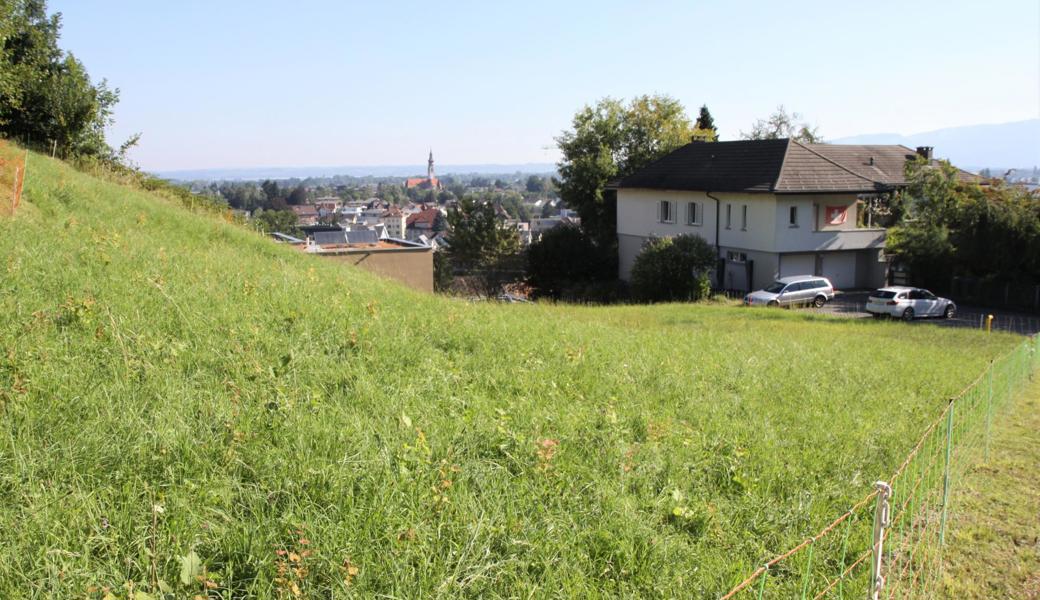 Für einen der drei Baubereiche (rechts auf dem Plan) besteht bereits ein Richtprojekt, das die Villa Gautschi ersetzen soll.