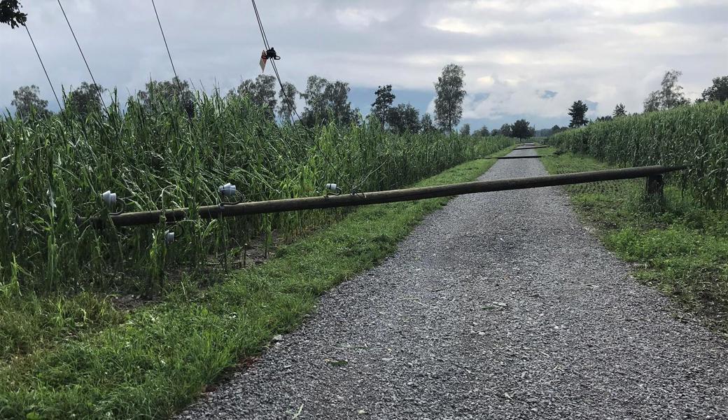 Die Strommasten liegen im Abstand von 40 Metern auf einer Länge von 500 Metern quer über dem Schotterweg.