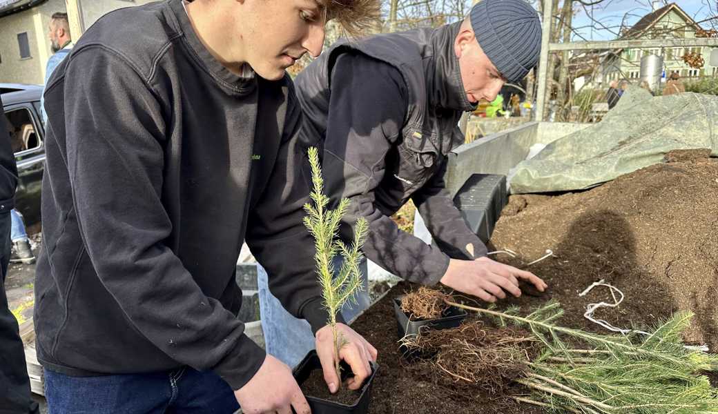 Gartenbaulehrlinge pflanzten zusammen mit Kindern Dutzende Baumsetzlinge.