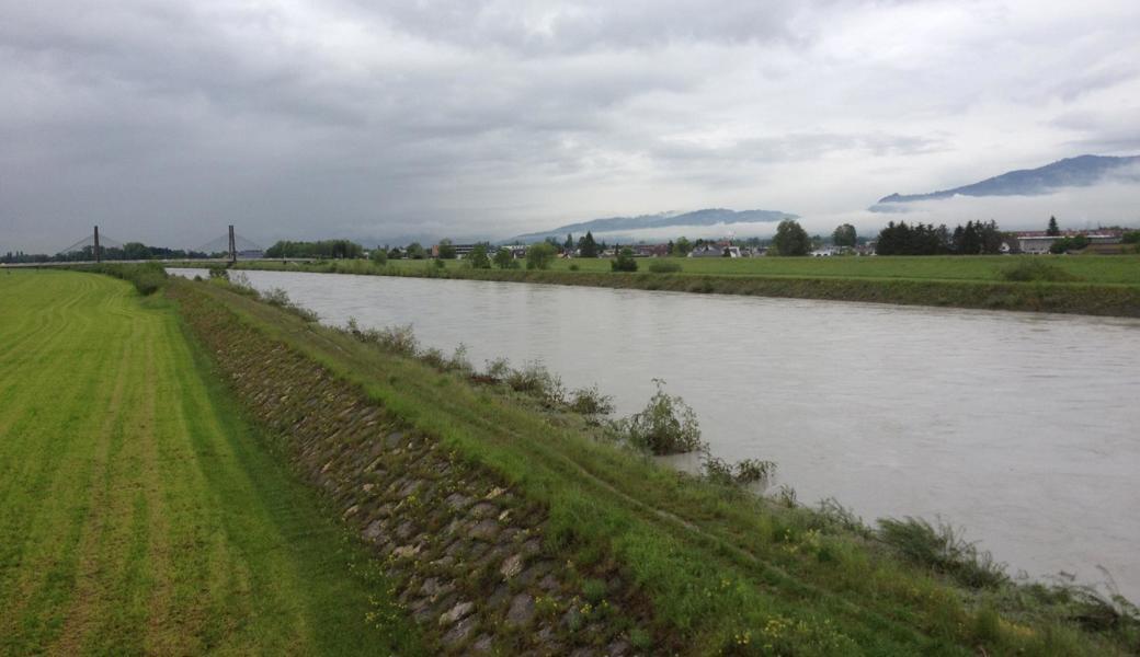 Der Rhein bei Diepoldsau, Höhe Rietbrücke mit Blick zur Schrägseilbrücke.