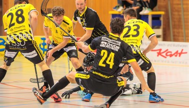 Rheintal Gators mit einem Cupspiel mitten in der Sommerpause