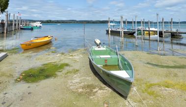 Motorboot geklaut und betrunken gestrandet