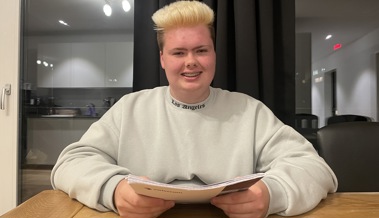 Der Manny - Cedric arbeitet in einer Grossfamilie Der Manny - Cedric arbeitet in einer Grossfamilie