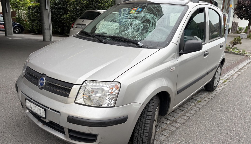 Beim Überqueren der Strasse: Mann mit Blindenhund von Auto angefahren
