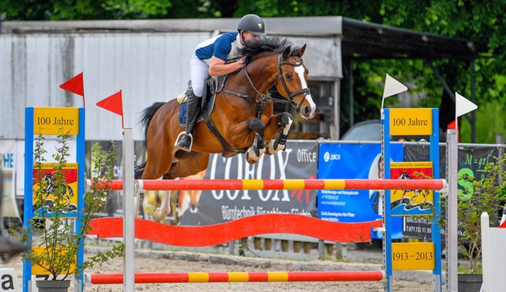 Vereinscup-Final und weitere spannende Springsport-Momente am Herbstspringen in Altstätten