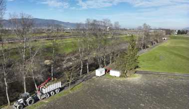 Hochwasserschutz am Rhein: Warum die Dammverstärkung drei Jahre Bauzeit erfordert