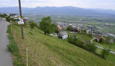 Widerstand gegen Auszonung in Mohren