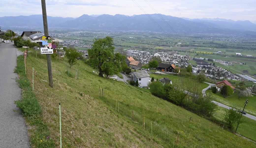 Mehrere Parzellen an der Ahornstrasse und an der Heidenerstrasse sollen ausgezont werden. Viele Einwohner von Mohren sind damit nicht einverstanden.