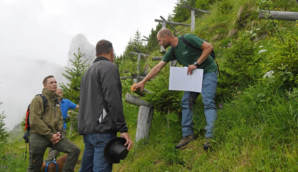 Revierförster Simon Zürcher (rechts) zeigt in der Schutzwaldverbauung am Stauberngrat an einem 15 bis 20 Jahre alten Dreibeinbock, dass das verwendete Holz sehr dauerhaft ist.
