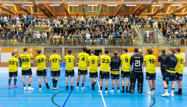 Nach dem Viertelfinal-Aus: Warum die Rheintal Gators dennoch von Fortschritt sprechen