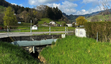 Rheintalerinnen und Rheintaler schicken ihre Bilder vom Osterspaziergang