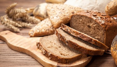 Herausforderer sind wichtig für die Demokratie, essen aber hartes Brot