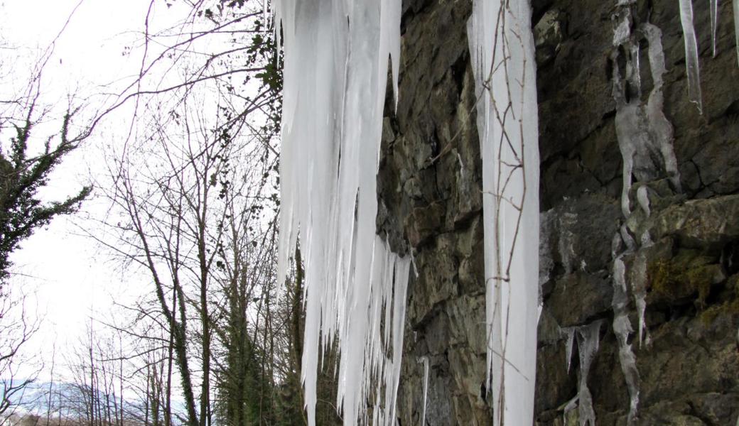 Am Schwalbenfelsen, der nahe an der Buechbergstrasse liegt, bilden sich im Winter durch den Wasserdruck jeweils riesige Eiszapfen.