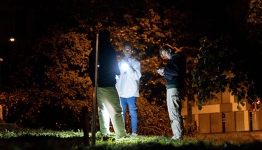 Eierwürfe, Böller und laute Musik: So verlief die Halloween-Nacht bei uns