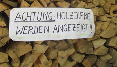 Holzdiebstahl ist kein Kavaliersdelikt