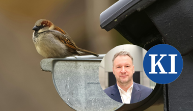 Vom «Vogel» zur Persönlichkeit: Wie KI meinen Blick auf die Natur veränderte