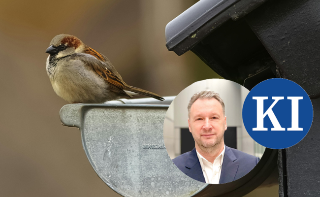Vom «Vogel» zur Persönlichkeit: Wie KI meinen Blick auf die Natur veränderte