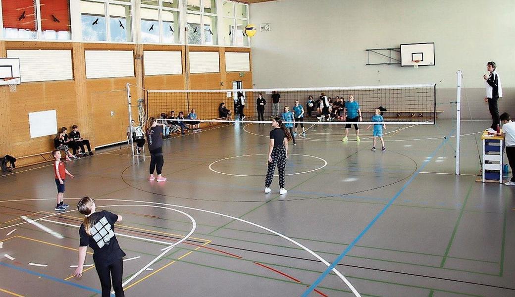 An den Oberegger Netzball-Plauschturnieren wurde um jeden Punkt gekämpft. 