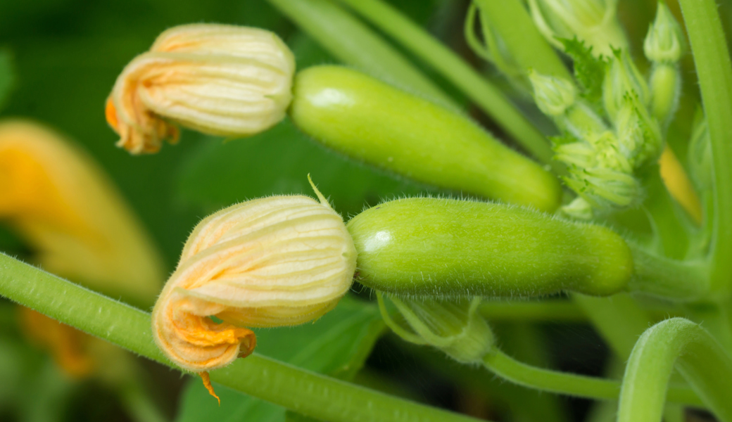 Im Winter richtig planen heisst, in der Saison gut ernten