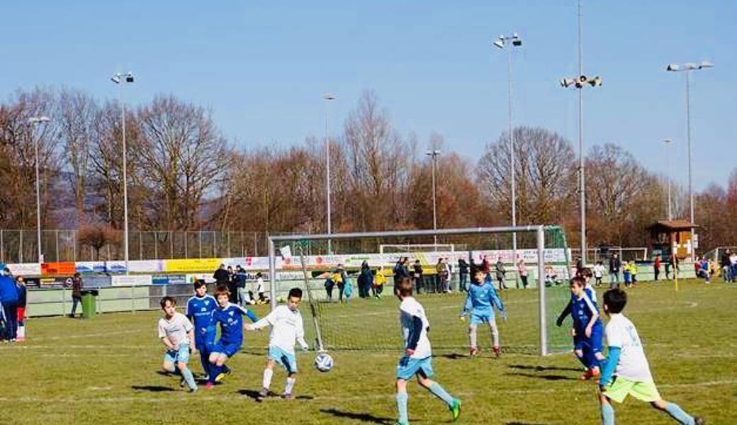 In Diepoldsau rollen die Bälle am Samstag für 48 Mannschaften.