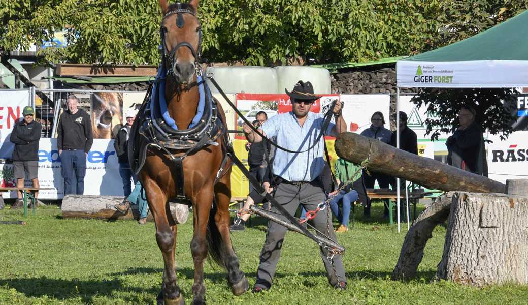 Rund 30 Fuhrmänner und -frauen haben sich fürs Holzrücken vom Samstag angemeldet. 