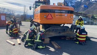 Der Rheintalische Feuerwehrverband bildete sein Kader weiter