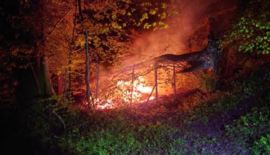 Alte Jagdhütte ist abgebrannt