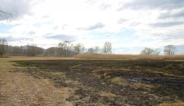 Flächenbrand im Höchster Ried