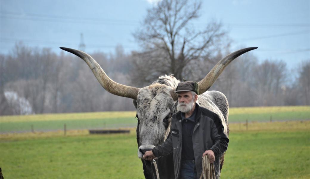 Peter Kuster und Ochse Gorbatschow. 