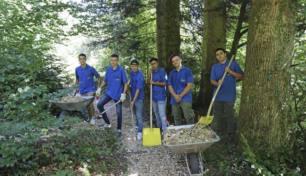 Kaum die Lehre bei libs begonnen, zeigten die Lernenden vollen Einsatz: (v. l.) Moa Koch, Dario Ivic, Trevor Jeffrey Smith, Baran Er, Sandro Barmettler und Lorian Mehmeti.  